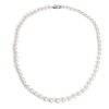 Necklaces | Blue Nile Freshwater Cultured Pearl Graduated Strand Necklace With 14K White Gold (5.5-9.5Mm)