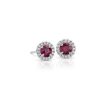 Earrings | Blue Nile Ruby And Micropav Diamond Halo Stud Earrings In 18K White Gold (5Mm)