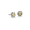 Earrings | Blue Nile Yellow Diamond Halo Stud Earrings In 14K White Gold (1 Ct. Tw.)